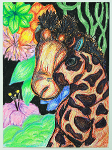 Image of Cole Steen's crayon, Support Giraffe Conservation.